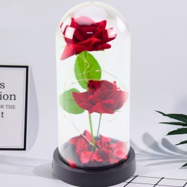 Eternal 2 Roses in Dome with LED Lighting and Rose Petals Red 21x11cm Eternal 2 Roses in Dome with LED Lighting and Rose Petals Red 21x11cm