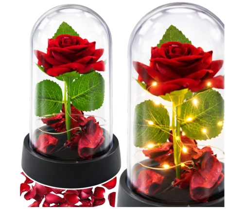 Eternal Rose in Dome with LED Lighting Red with Rose Petals 14x8cm