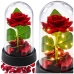 Eternal Rose in Dome with LED Lighting Red with Rose Petals 14x8cm