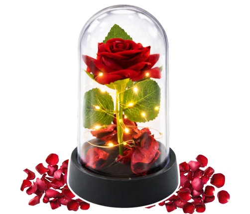 Eternal Rose in Dome with LED Lighting Red with Rose Petals 14x8cm
