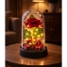 Eternal Rose in Dome with LED Lighting Red with Rose Petals 14x8cm