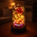 Eternal Crystal Rose in a Dome with LED Lighting and a Heart 14x8cm