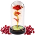 Eternal Rose In Glass Crystal LED Lighting Butterfly Red 21x11cm