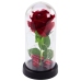 Eternal Rose in Dome with LED Lighting Red 21x11cm