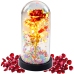 Eternal Rose In Glass Crystal LED Lighting Balls Red 21x11cm