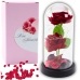Eternal 2 Roses in Dome with LED Lighting and Rose Petals Red 21x11cm