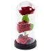 Eternal 2 Roses in Dome with LED Lighting and Rose Petals Red 21x11cm