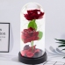 Eternal 2 Roses in Dome with LED Lighting and Rose Petals Red 21x11cm