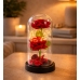 Eternal 2 Roses in Dome with LED Lighting and Rose Petals Red 21x11cm