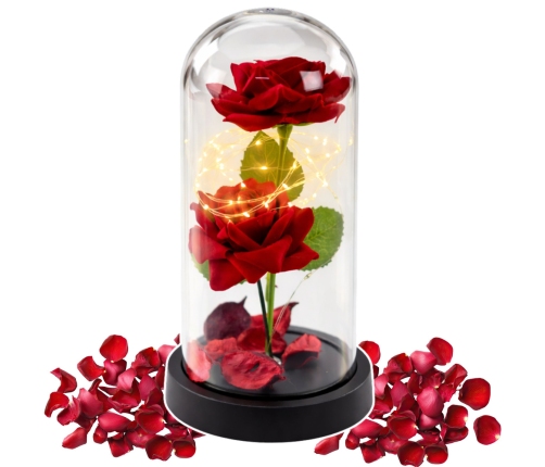 Eternal 2 Roses in Dome with LED Lighting and Rose Petals Red 21x11cm