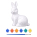 Bunny Styrofoam Decorations Painting Kit Paint Brush