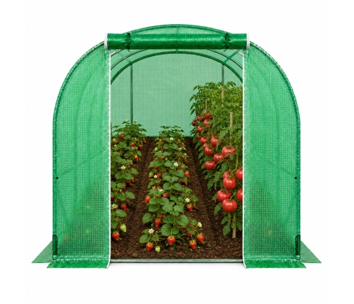 Foil Tunnel Garden Greenhouse 2x3 6m2 Green for Vegetables Frame