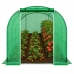 Foil Tunnel Garden Greenhouse 2x3 6m2 Green for Vegetables Frame