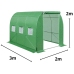 Foil Tunnel Garden Greenhouse 2x3 6m2 Green for Vegetables Frame