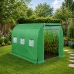 Foil Tunnel Garden Greenhouse 2x3 6m2 Green for Vegetables Frame