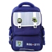 School Backpack Patches With Dinosaurs Chest Strap Navy Blue 39x27x15cm