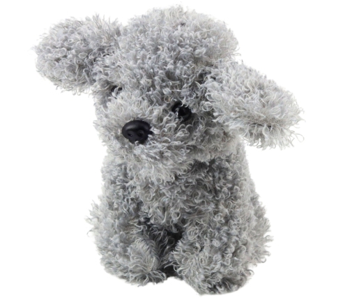 Plush Toy Miniature Poodle Dog, Gray, 20cm