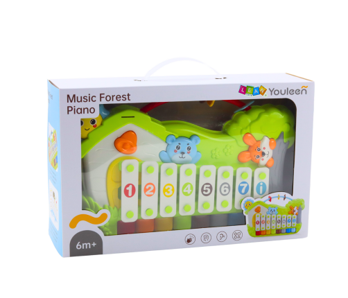 Musical Piano Forest Xylophone Note Cards 5pcs