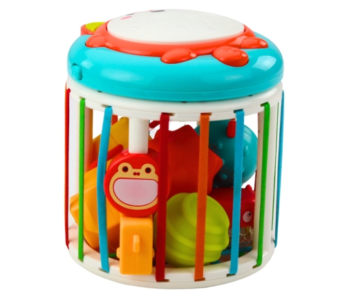 Cylinder Sensory Cube Interactive Drum Fox Lights Sounds Colorful