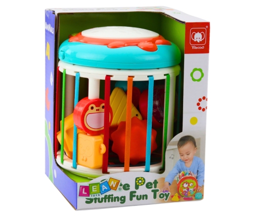 Cylinder Sensory Cube Interactive Drum Fox Lights Sounds Colorful
