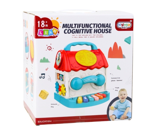 Educational House Interactive Cube Rattle Sorter Sounds Colorful