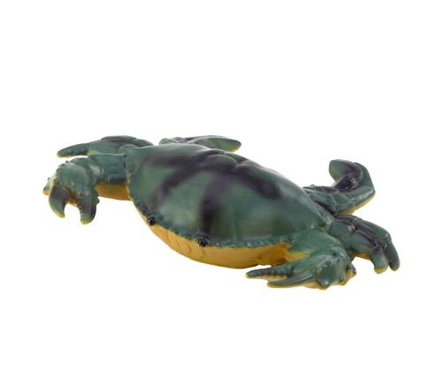 Set of Figures Sea Animals Crab Starfish Squid Ammonite 5pcs.