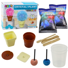 Educational Kit Growing Magic Crystal Tree Educational Kit Growing Magic Crystal Tree