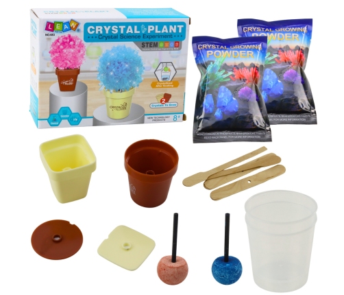 Educational Kit Growing Magic Crystal Tree