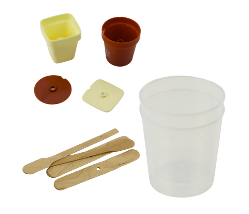 Educational Kit Growing Magic Crystal Tree