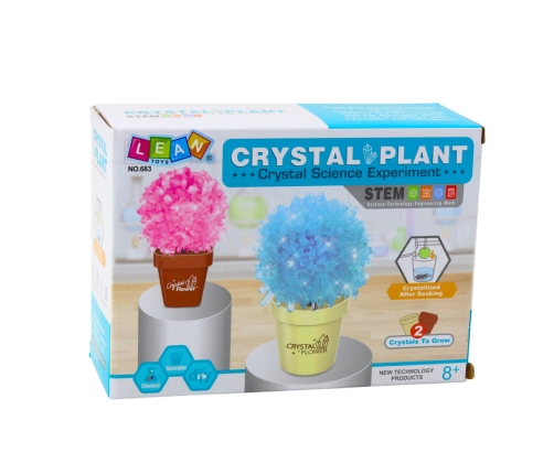 Educational Kit Growing Magic Crystal Tree