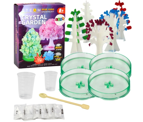 Educational Kit Experience Growing Crystal Trees