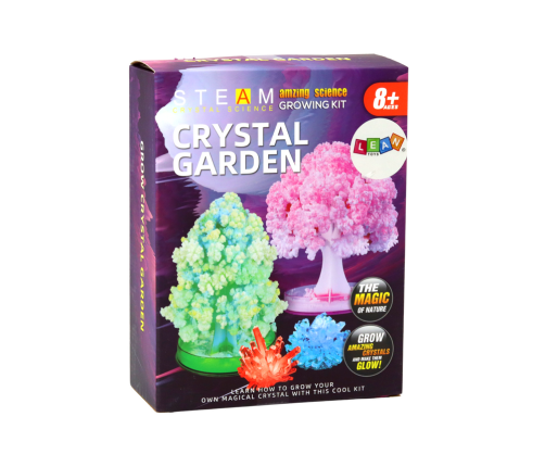 Educational Kit Experience Growing Crystal Trees