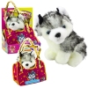 Husky Dog In A Bag Plush Mascot Cuddly Toy White Gray Husky Dog In A Bag Plush Mascot Cuddly Toy White Gray