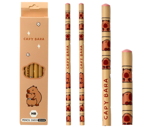 Capybara Sketch Pencil Set 12 Pieces