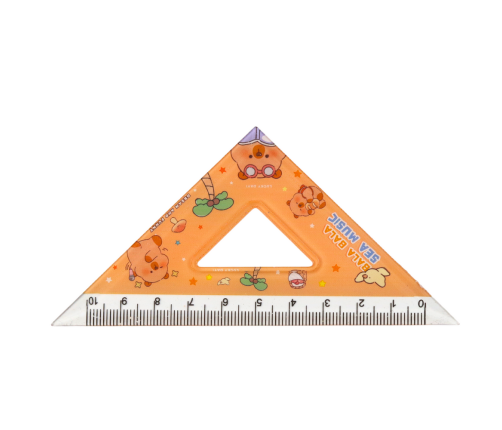 Set of Geometric Tools Capybara Ruler Protractor Squares 4pcs
