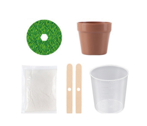 Crystal Growing Magic Crystal Tree Educational Experiment