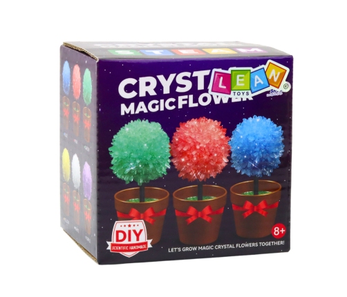 Crystal Growing Magic Crystal Tree Educational Experiment