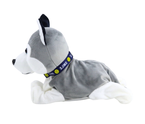 Battery-Powered Interactive Husky Plush Dog Moves Makes Sounds