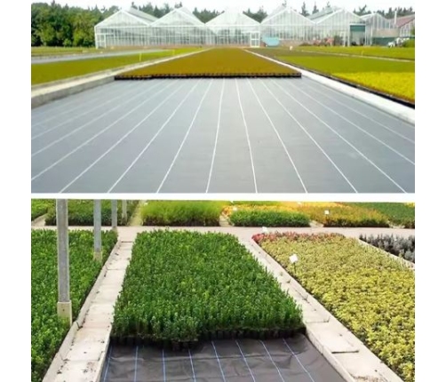 Black agrotextile 1.1x50m UV 135g anti-weed agrotextile + anchors