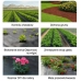 Black agrotextile 1.1x50m UV 135g anti-weed agrotextile + anchors
