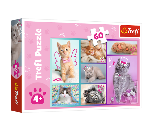 Puzzle - "60" - Sweet Kittens / Trefl 17373