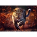 Puzzle - "1000 Premium Plus" - Photo Odyssey: Wild Leopard Trefl 10818