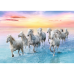 Puzzle 500 pcs. White horses galloping Trefl 37289