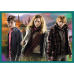 Puzzle 10in1 Harry Potter In the world of Harry Potter 90392