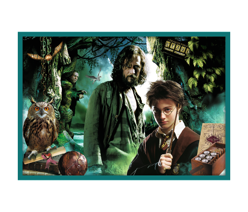 Puzzle 10in1 Harry Potter In the world of Harry Potter 90392