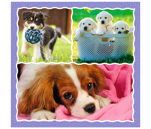 Puzzle - 3 in 1 - Cute dogs - Trefl 34854