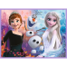 Puzzle - 2in1+memos  Princesses in their land - Disney Frozen 2 93335