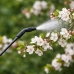 Manual Pressure Sprayer for Watering, Fertilizing, Spraying LEAN 3L