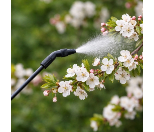 Manual Pressure Sprayer for Watering, Fertilizing, Spraying LEAN 5L