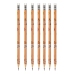 Set of HB Graphite Pencils with Capybara Eraser in a Tube 30 pcs.